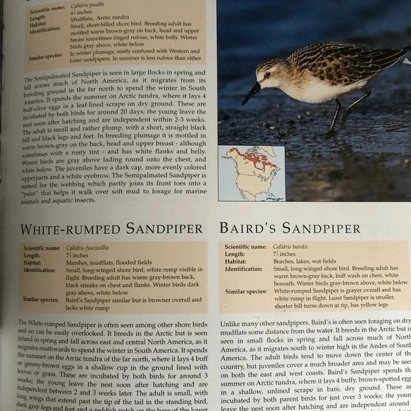Vtg The Encyclopedia of North American  Birds - Picture 5 of 8